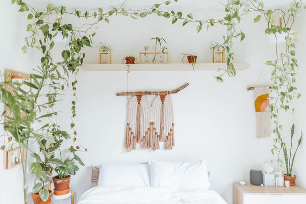 Master the Art of Macrame: Elevate Your Plant Game with Stunning Hanging Planters