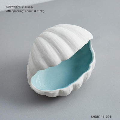 Conch Series Porcelain - Store Of Things