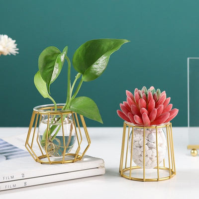 Nordic Iron Golden Glass Vase - Store Of Things