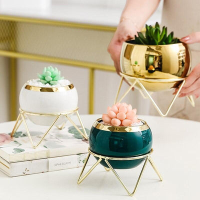 Succulent Plant Flower Pot - Store Of Things